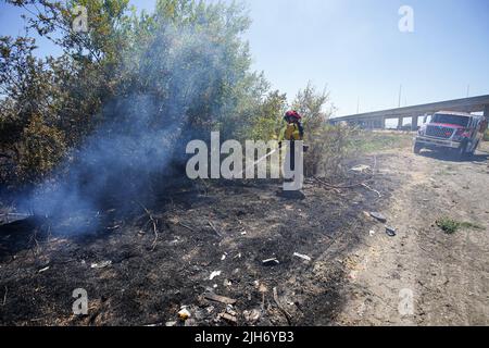 Richmond, États-Unis. 15th juillet 2022. Un pompier utilise de l'eau pour éteindre le feu de broussailles à Richmond. Les pompiers répondent à un incendie de brosse à Richmond, le feu de brosse a commencé vers 1 h 22 et a été contenu par 2 h. la cause de l'incendie est la combustion ouverte de déchets dans la région. (Photo de Michael Ho Wai Lee/SOPA Images/Sipa USA) crédit: SIPA USA/Alay Live News Banque D'Images