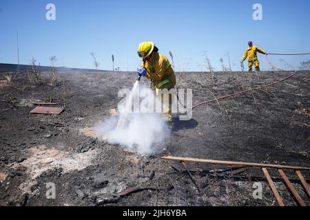 Richmond, États-Unis. 15th juillet 2022. Un pompier utilise de l'eau pour éteindre le feu de broussailles à Richmond. Les pompiers répondent à un incendie de brosse à Richmond, le feu de brosse a commencé vers 1 h 22 et a été contenu par 2 h. la cause de l'incendie est la combustion ouverte de déchets dans la région. (Photo de Michael Ho Wai Lee/SOPA Images/Sipa USA) crédit: SIPA USA/Alay Live News Banque D'Images