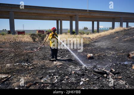 Richmond, États-Unis. 15th juillet 2022. Un pompier utilise de l'eau pour éteindre le feu de broussailles à Richmond. Les pompiers répondent à un incendie de brosse à Richmond, le feu de brosse a commencé vers 1 h 22 et a été contenu par 2 h. la cause de l'incendie est la combustion ouverte de déchets dans la région. (Photo de Michael Ho Wai Lee/SOPA Images/Sipa USA) crédit: SIPA USA/Alay Live News Banque D'Images