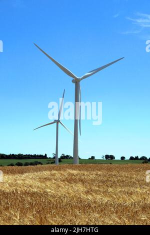 Éoliennes dans un champ. Prise de vue par une journée ensoleillée avec un ciel bleu profond. Banque D'Images