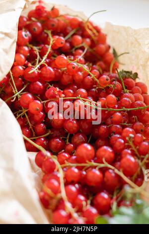 Vue de dessus des baies de cassis dans un sac en papier. Nourriture de récolte saine pour l'été Banque D'Images