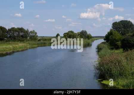 Paysage de la rivière Narew à Tykocin depuis le pont de la ville en été, Podlaskie Voivodeship, Pologne, Europe Banque D'Images