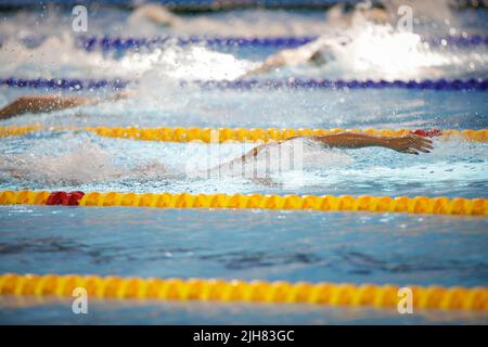 Détails avec un athlète masculin professionnel qui nage dans une piscine olympique freestyle. Banque D'Images