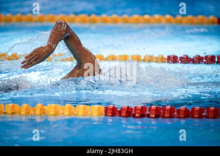 Détails avec un athlète masculin professionnel qui nage dans une piscine olympique freestyle. Banque D'Images