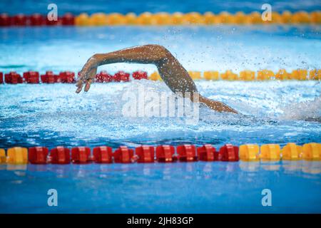 Détails avec un athlète masculin professionnel qui nage dans une piscine olympique freestyle. Banque D'Images