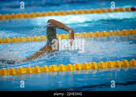 Détails avec un athlète masculin professionnel qui nage dans une piscine olympique freestyle. Banque D'Images