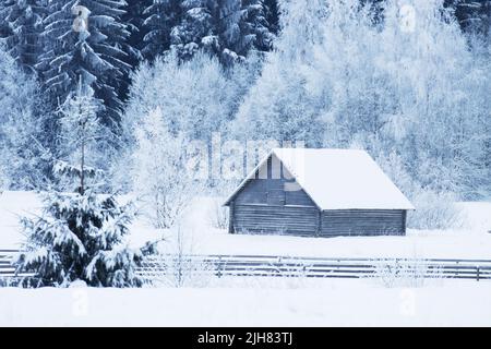 Une ancienne grange de foin en bois au milieu d'un paysage hivernal enneigé en Estonie Banque D'Images