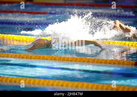 Otopeni, Roumanie - 8 juillet 2022: Détails avec David Popovici nageur de Roumanie participant aux Championnats juniors européens LEN. Banque D'Images