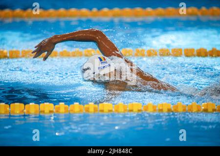 Otopeni, Roumanie - 8 juillet 2022: Détails avec David Popovici nageur de Roumanie participant aux Championnats juniors européens LEN. Banque D'Images