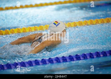 Otopeni, Roumanie - 8 juillet 2022: Détails avec une athlète roumaine professionnelle nage dans un style de papillon de piscine olympique. Banque D'Images