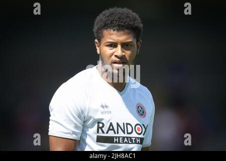 Rhian Brewster #7 de Sheffield United pendant le match Banque D'Images
