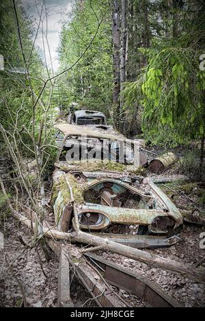 Un cimetière de voitures est situé dans une forêt Banque D'Images