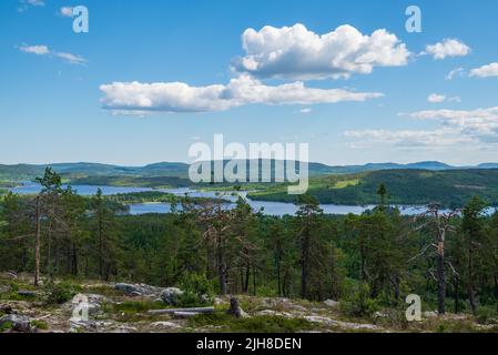 Vue du point de vue de Gallsätter région de la haute côte Vasternorrland, se concentrer sur le premier plan. Banque D'Images