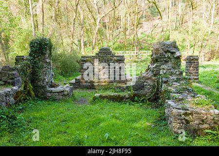 Vestiges d'une ancienne chapelle au fond des bois derrière le Gower Inn at Parkmill Banque D'Images