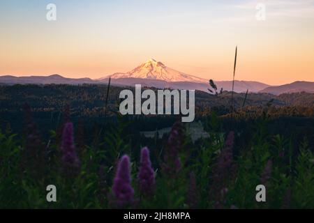 Une belle photo d'une rivière qui coule dans une vallée avec le Mont Hood en arrière-plan au coucher du soleil Banque D'Images