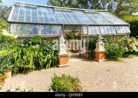 Serre dans Glasshouse Garden, East Ruston Old Vicarage Garden, East Ruston, Norfolk, Angleterre, Royaume-Uni Banque D'Images