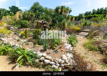 Desert Wash Garden, East Ruston Old Vicarage Garden, East Ruston, Norfolk, Angleterre, Royaume-Uni Banque D'Images