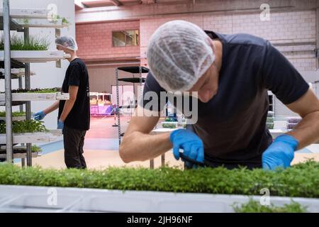 Rapport sur les jardins partagés et l'agriculture urbaine à Amsterdam. Ici, Anna's Tuin & Ruigte, un projet de permaculture de plus d'un hectare dans le parc scientifique d'Amsterdam. Ils expérimentent la production alimentaire durable dans la forêt alimentaire et le potager. L'objectif est d'accroître la biodiversité, l'éducation, la recherche et l'engagement social. Amsterdam, pays-Bas. Banque D'Images