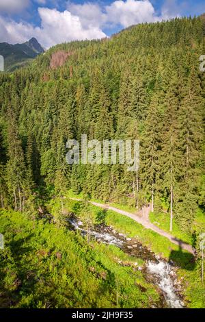 Vue du téléphérique à la montagne Kasprowy Wierch en Pologne, Europe Banque D'Images