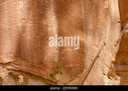 Petroglyphe ou sculptures d'art rupestre des Indiens d'Amérique sur un mur de canyon à Freemont, parc national Capitol Reef Utah, États-Unis Banque D'Images