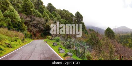 Copiez l'espace avec un pittoresque col de montagne le long d'une falaise à la Palma, aux îles Canaries, en Espagne, lors d'une matinée froide et trouble. Paisible, calme et luxuriant Banque D'Images