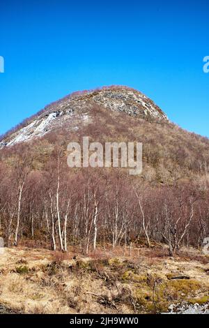 Une montagne de forêt avec de la neige fondante sur un espace de copie de ciel bleu. Affleurements rocheux avec des sommets enneigés, des arbres secs et des buissons sauvages au début du printemps. Nature Banque D'Images