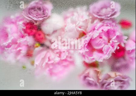 Arrière-plan abstrait bouquet de fleurs sous gouttes d'eau Banque D'Images