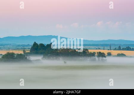 Brouillard dans les plaines de la rivière Turiec, Slovaquie. Banque D'Images