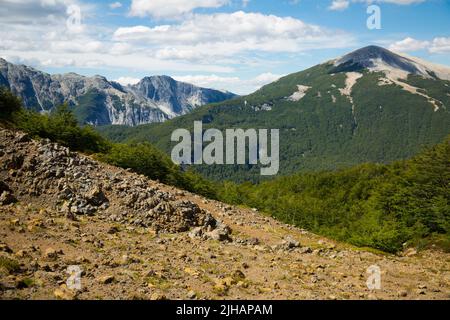Volcan Tronador et glaciers d'Alerce et de Castano Overa Banque D'Images