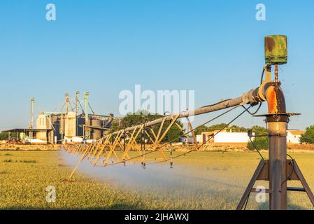 Système d'irrigation à pivot central, tuyaux d'irrigation avec arroseurs sur roues qui tournent sur un axe central. Banque D'Images