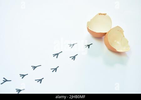 coquille d'œuf fissurée et empreinte de poussin marchant sur fond blanc Banque D'Images