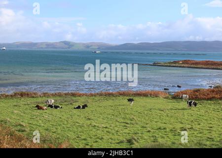 Île de Gigha. Brides intérieures. Argyll et Bute. Écosse. ROYAUME-UNI Banque D'Images