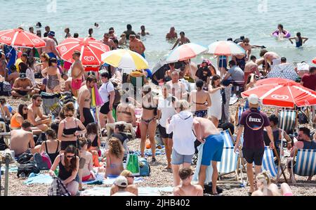 Brighton UK 17th juillet 2022 - Brighton Beach est emballé comme des milliers de visiteurs apprécient le soleil chaud comme un avertissement de temps rouge extrême a été émis pour les deux prochains jours à travers le pays : crédit Simon Dack / Alamy Live News Banque D'Images