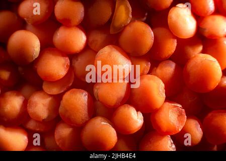 Sécher les lentilles rouges très près. Gruau de lentilles rouges. Grains de lentilles d'orange séchés, pile de daal, daal brut, dhal, masur, Lentille culinaris ou lentille esculenta Banque D'Images