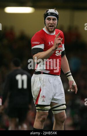 Ryan Jones, le capt pays de Galles, regarde. Invesco Perpetual série 2008 match international d'automne, pays de Galles contre Nouvelle-Zélande au Millennium Stadium le samedi 2 Banque D'Images