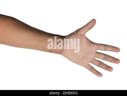 Mains mâles noires isolées sur fond blanc. Banque D'Images