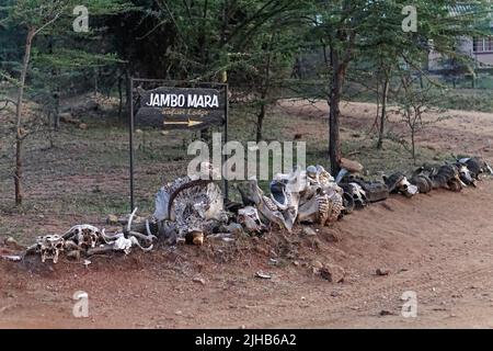 Narok, Kenya - 12 juillet 2017: Beaucoup de crânes os animaux direction signe jambo Mara Safari lounge conservancy dans le comté de Narok Kenya Afrique. Banque D'Images