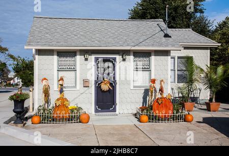 Exposition de porte avant d'automne colorée, Cape May, New Jersey, USA US NJ Halloween porte citrouilles chute citrouille Banque D'Images