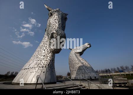 Les Kelpies sont situées le long du Forth et du Clyde Canal, The Helix Project, Falkirk, Écosse Banque D'Images