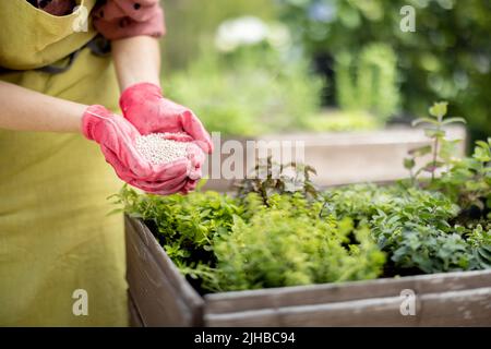 Le jardinier tient dans les mains fertilisant les minéraux, gros plan Banque D'Images