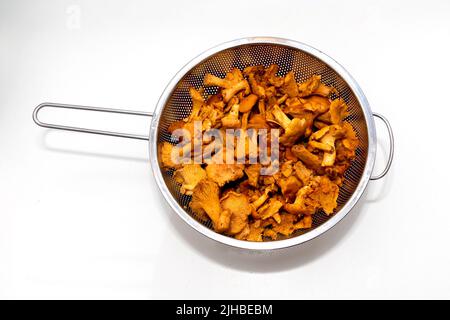 Pile de champignons chanterelles dans une passoire métallique isolée sur blanc Banque D'Images