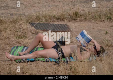 Londres, Royaume-Uni. 17th juillet 2022. Météo au Royaume-Uni : vague de chaleur au-dessus d'un Greenwich Park en parché alors que les températures continuent d'augmenter avec une alerte ambre en place pour une chaleur extrême. La Grande-Bretagne pourrait bientôt connaître son jour le plus chaud comme met Office prévoit que la Grande-Bretagne pourrait atteindre 40C cette semaine. Credit: Guy Corbishley/Alamy Live News Banque D'Images