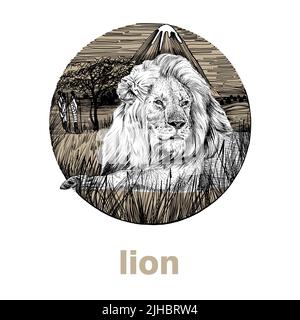 Lion dessiné à la main, illustration de graphiques d'esquisse sur fond blanc (originaux, pas de tracé) Banque D'Images