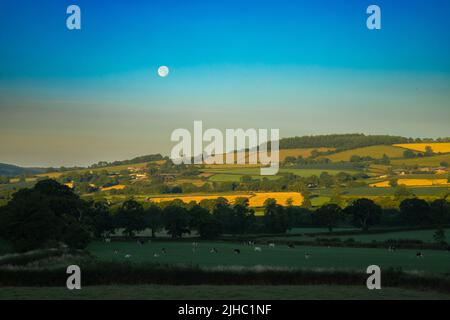 Tôt le matin avec pleine lune au-dessus des terres agricoles dans l'AONB de Devon est Banque D'Images