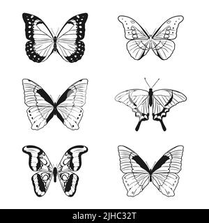 Ensemble de dessins de contour d'un papillon sur fond blanc. Style Doodle. Un élément de conception. Illustration de Vecteur