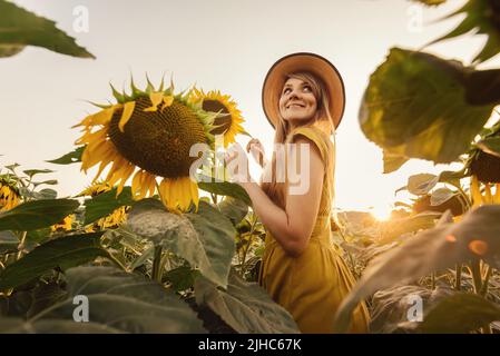 Femme avec des fossettes dans Sunflower Field au coucher du soleil Banque D'Images