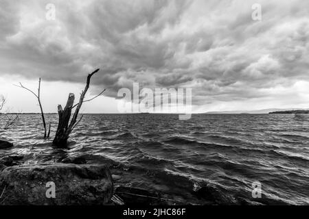 Troncs cassés sur un lac, sous un ciel dramatique et sombre avec une tempête entrante Banque D'Images