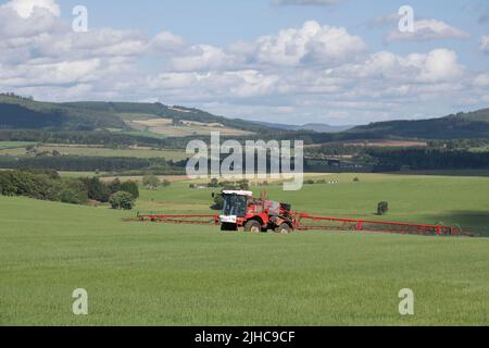 Un pulvérisateur de récolte fonctionnant dans un champ lors d'une matinée ensoleillée d'été avec des vues panoramiques sur la campagne de l'Aberdeenshire. Banque D'Images