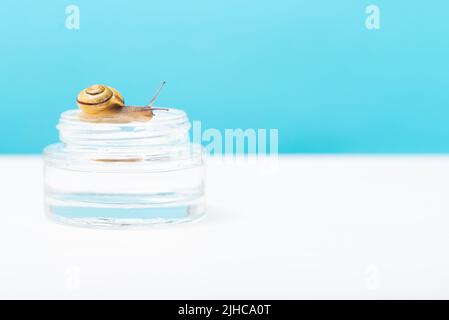 Un escargot rampe au-dessus d'une bouteille de verre de mucine museau visage sérum. L'utilisation de mucine d'escargot en cosmétologie, espace pour le texte. Soins de la peau et concept de beauté Banque D'Images