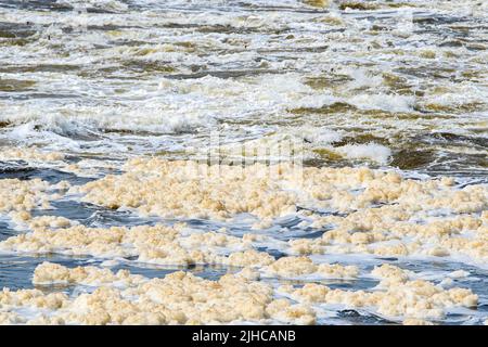 Une rivière à écoulement rapide remplie de mousse polluante sale. La mousse est marron clair et sale. Faible profondeur de champ. Banque D'Images